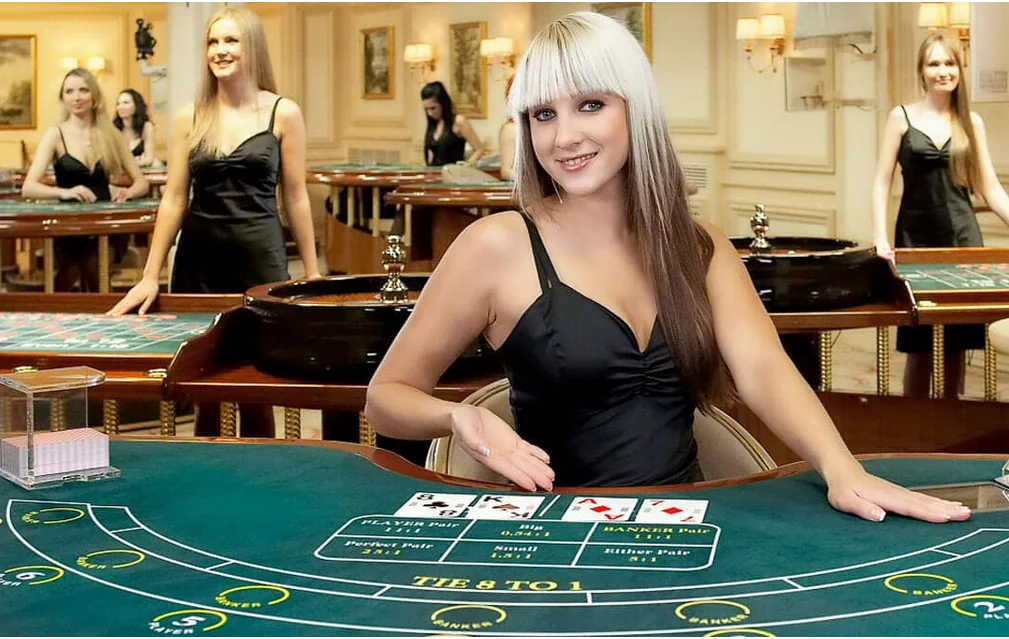 Tampilan meja kasino live dengan suasana dealer langsung